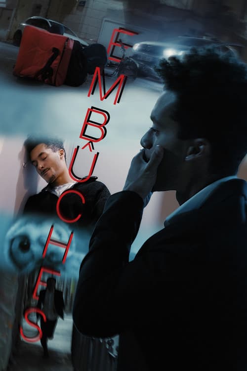 Embûches poster