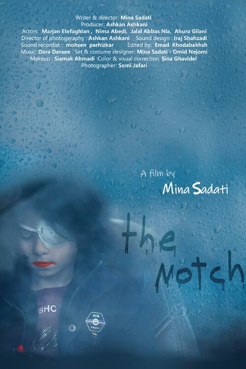 The Notch poster