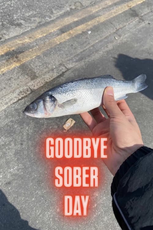 Goodbye Sober Day poster