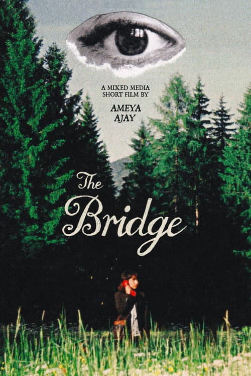 The Bridge poster