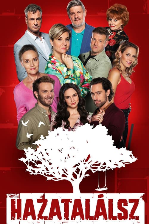Hazatalálsz poster