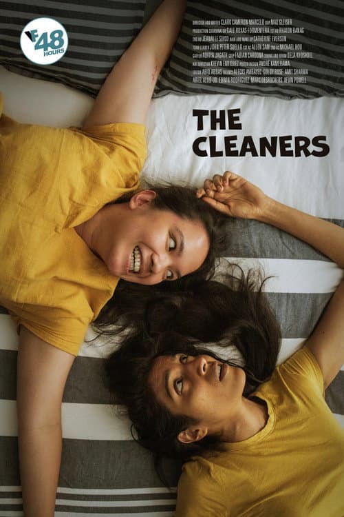 The Cleaners poster
