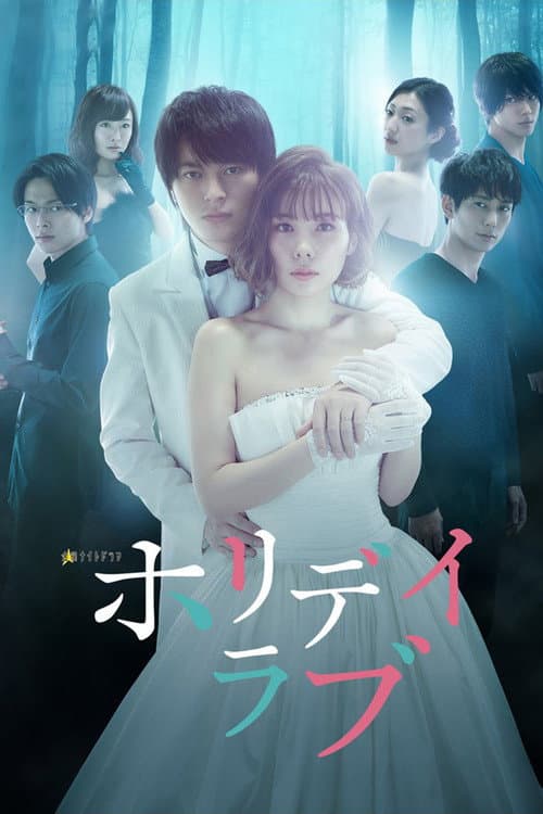 Holiday Love poster