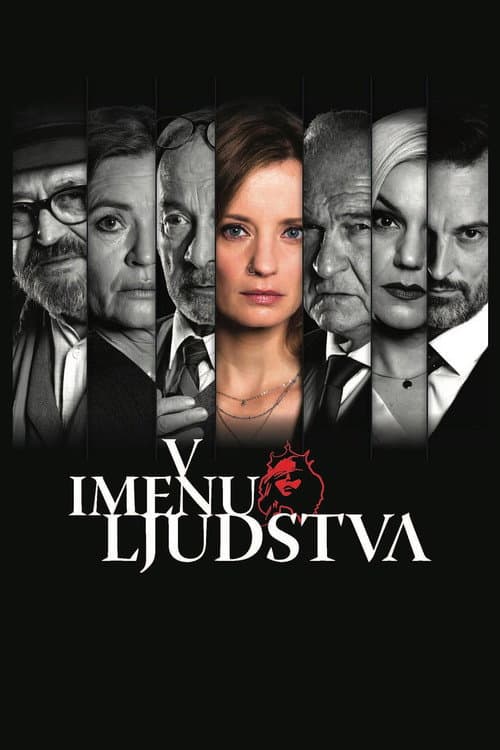 In the Name of the People poster