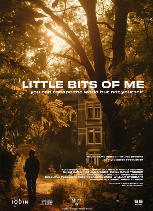 Little Bits of Me poster