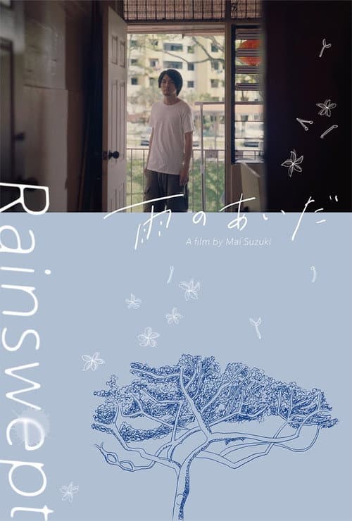 Rainswept poster