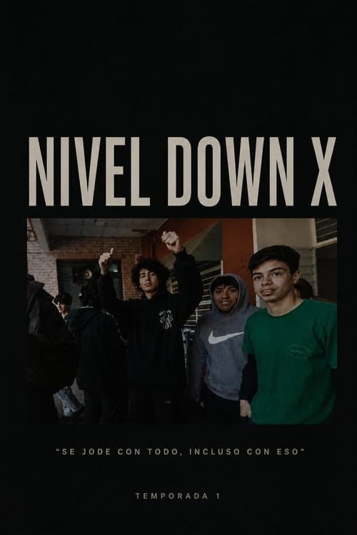 Nivel Down X poster