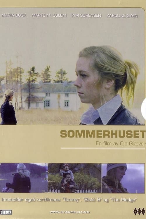 Summers Past poster