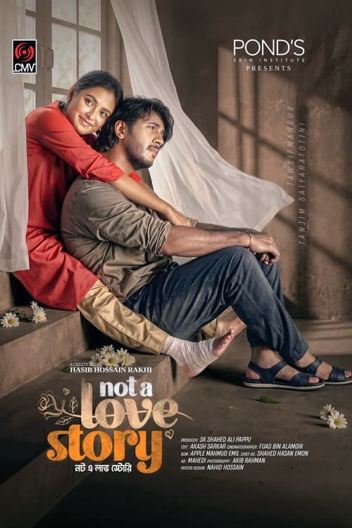 Not A Love Story poster