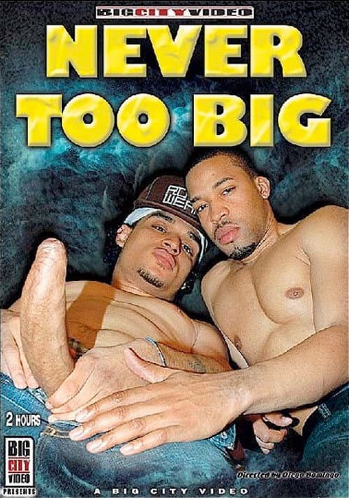 Never Too Big poster