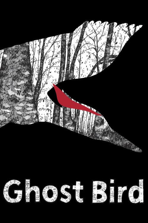 Ghost Bird poster