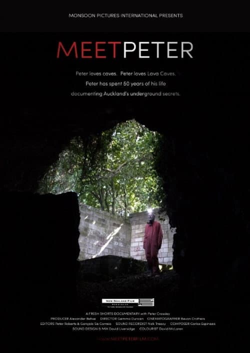 Meet Peter poster