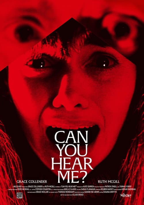 Can You Hear Me? poster