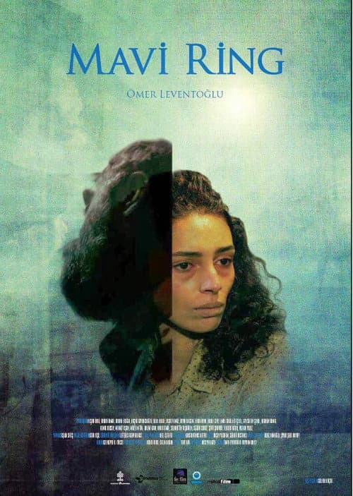 The Blue Van poster