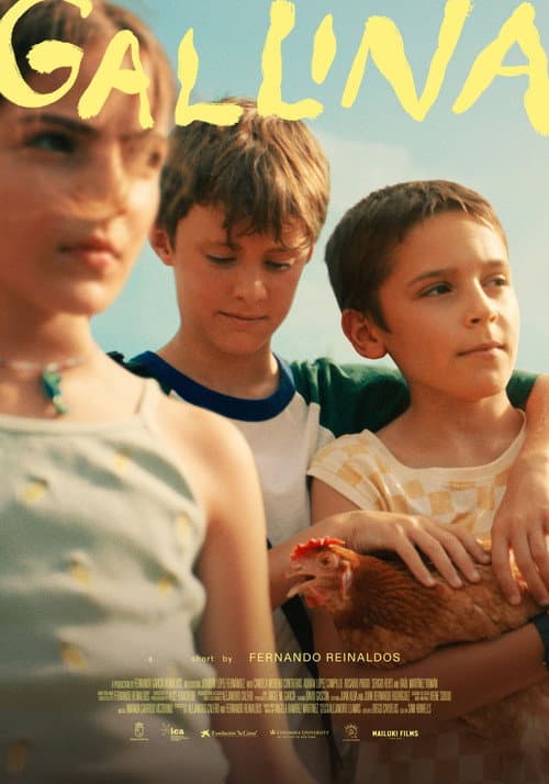 Gallina poster