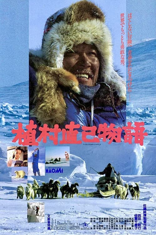 Lost in the Wilderness poster