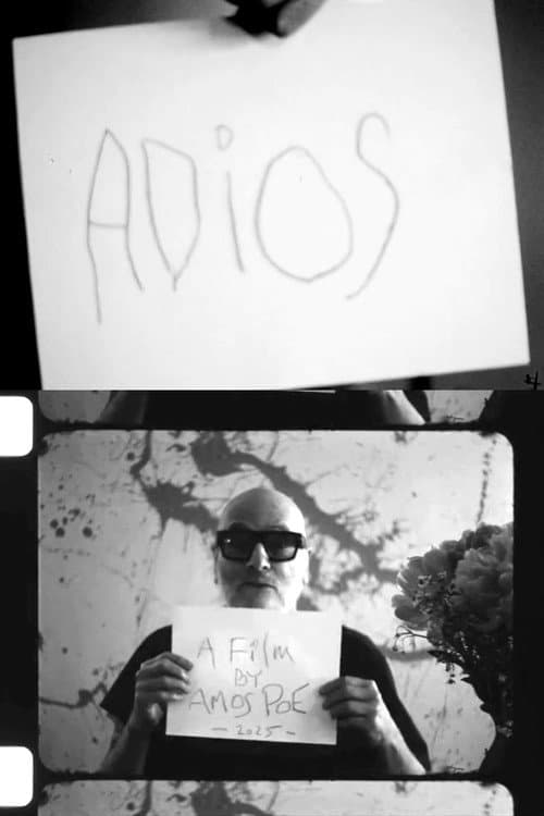 Adios poster