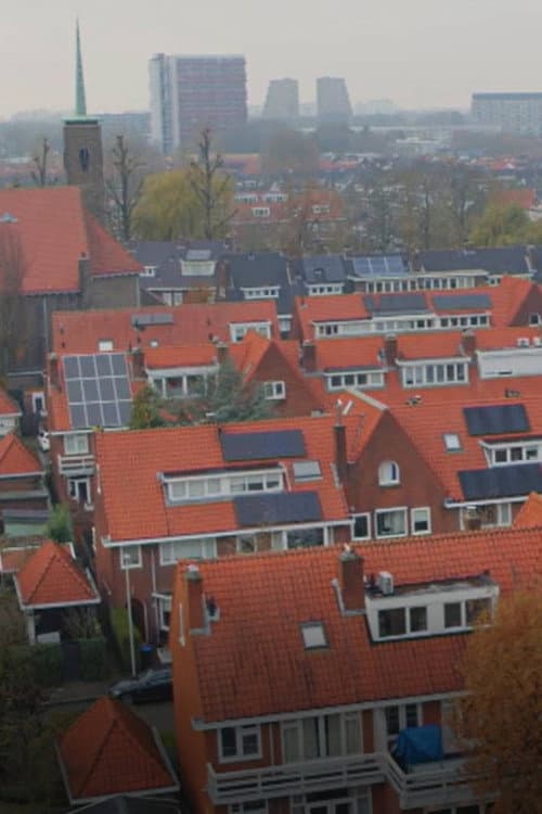Van krot tot Vinex: 100 jaar wonen poster