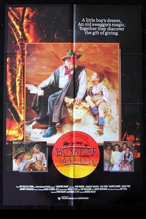 The Christmas Visitor poster