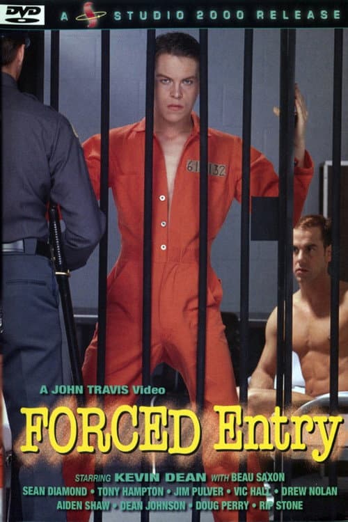 Forced Entry poster