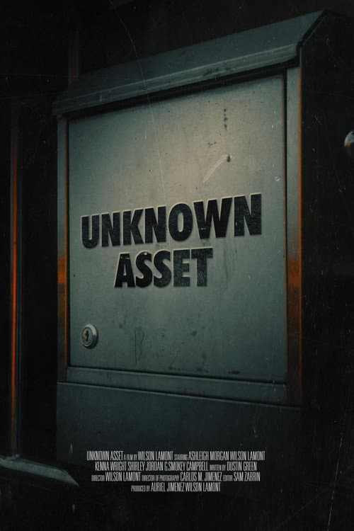 Unknown Asset poster