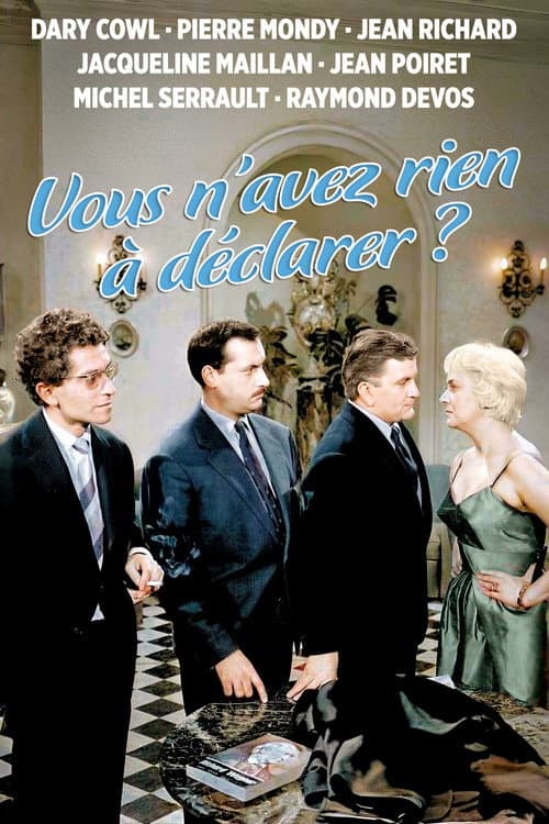 You Have Nothing to Declare? poster
