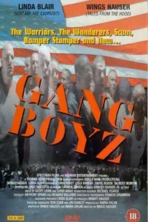 Gang Boys poster