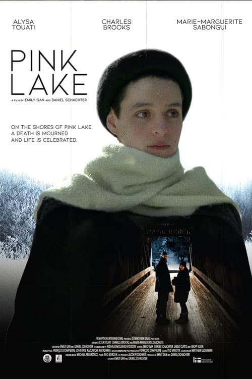 Pink Lake poster
