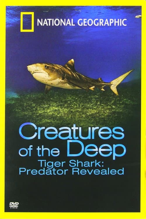 Tiger Shark: Predator Revealed poster