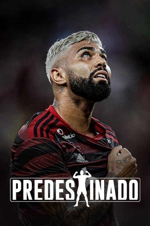 Predestinado poster