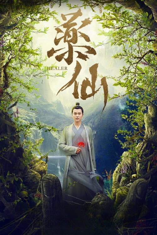 Healer poster