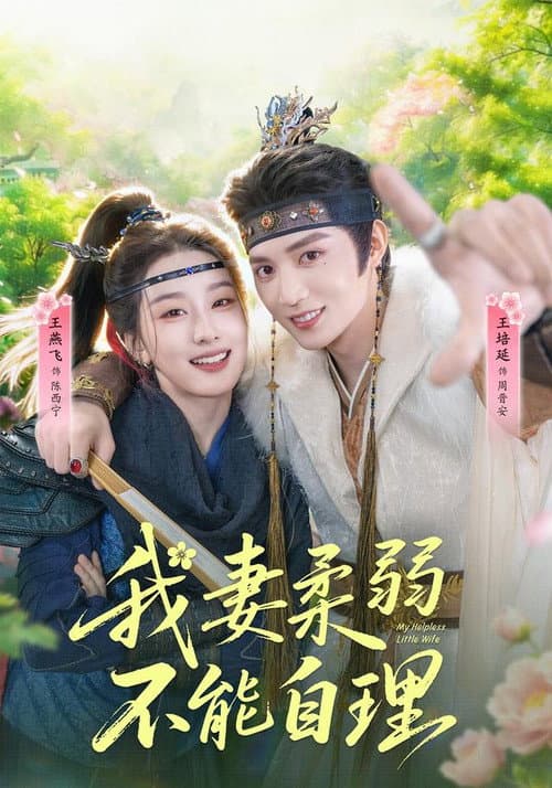 我妻柔弱不能自理 poster