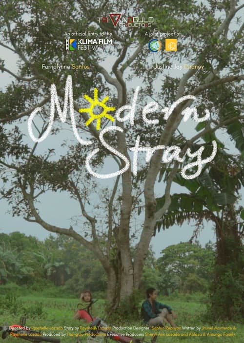 Modern Stray poster