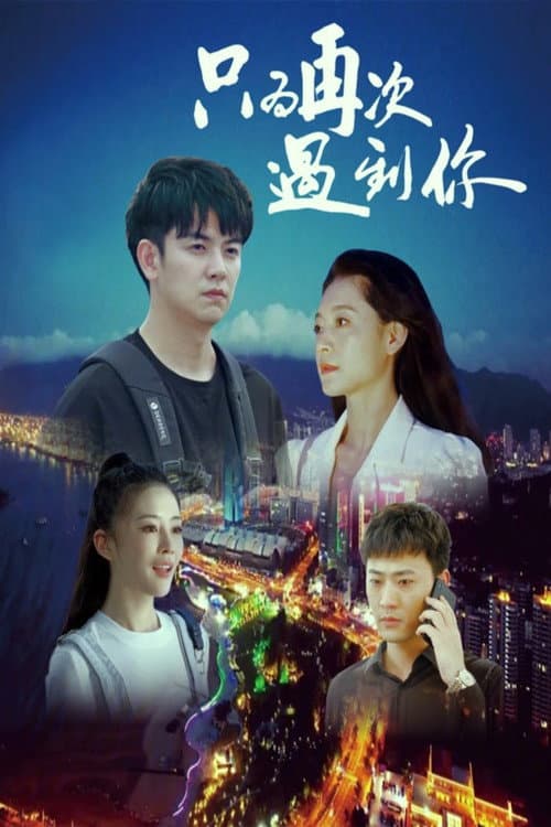 Just To Meet You Again poster