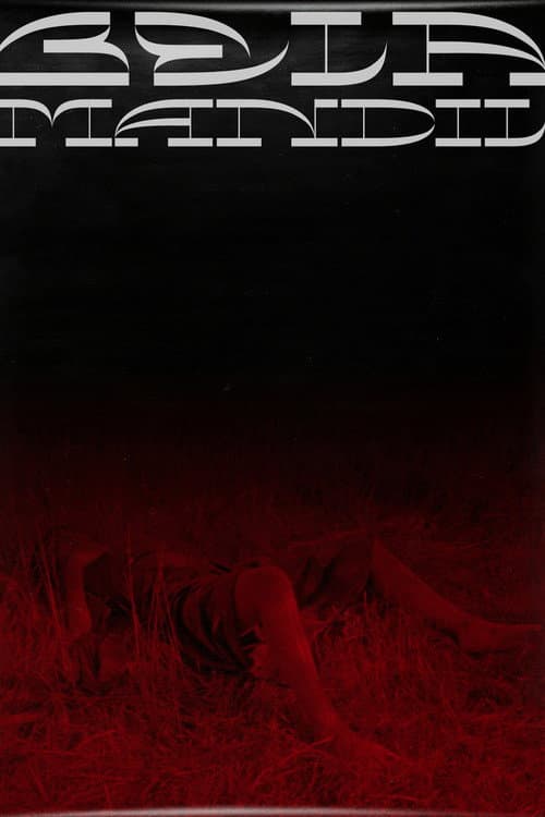 Bela Mandil poster