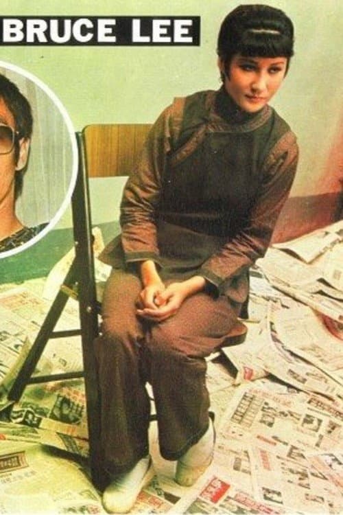 The Last Days of Bruce Lee poster