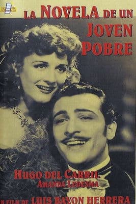 La novela de un joven pobre poster