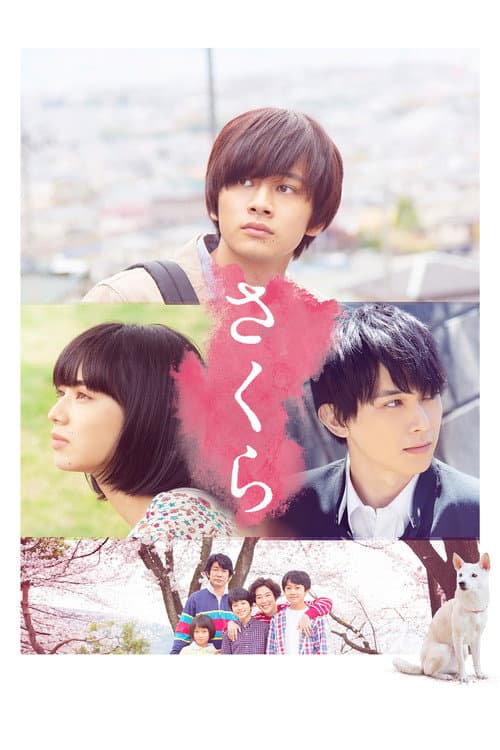 Sakura poster