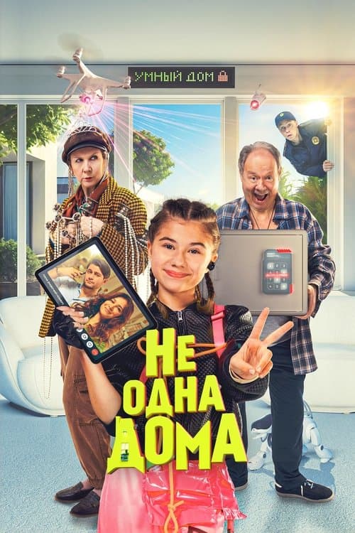 Home Not Alone poster