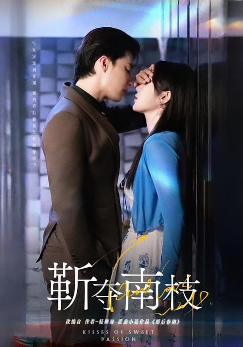 靳夺南枝 poster