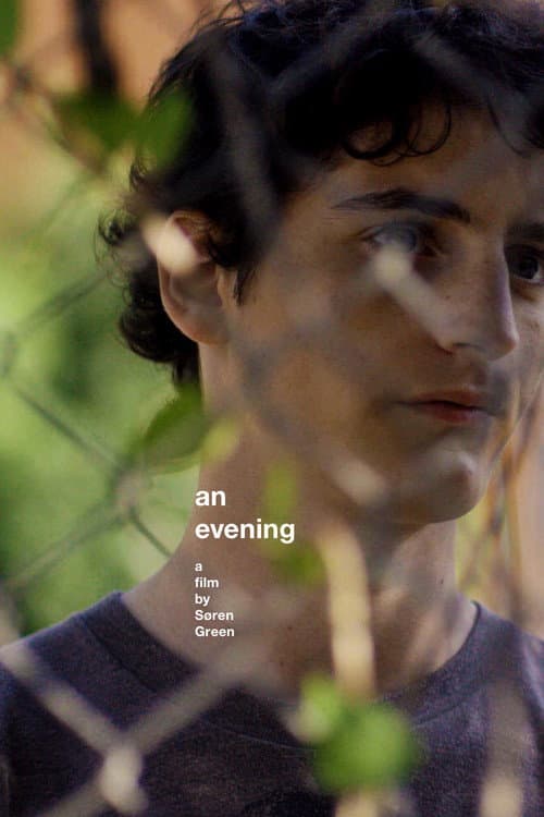 An Evening poster