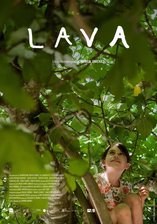 Lava poster