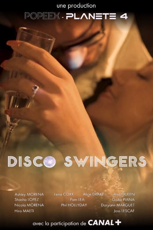 Disco Swingers poster