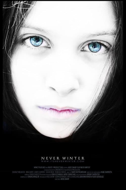 Never Winter poster