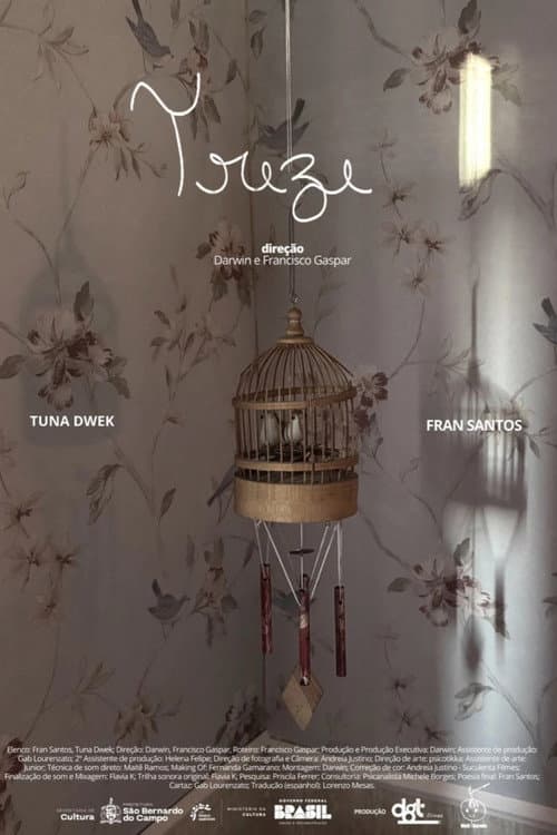 Treze poster