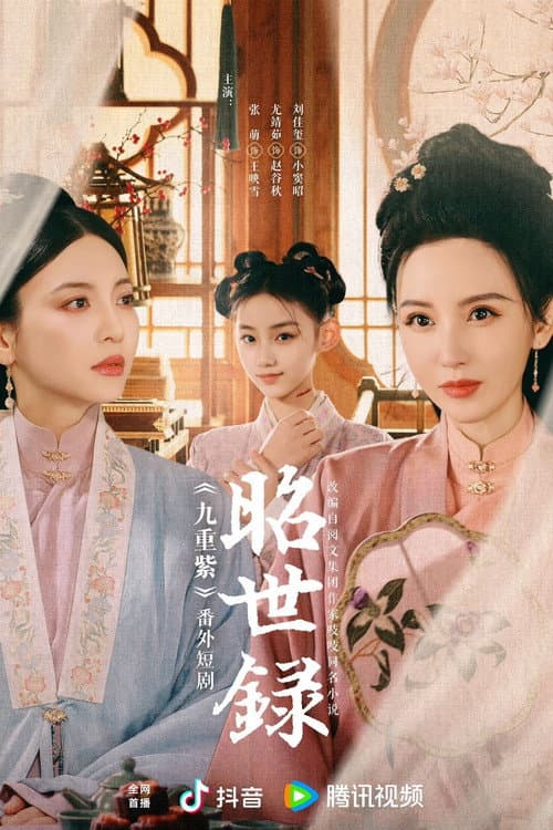 Zhao Shi Lu poster