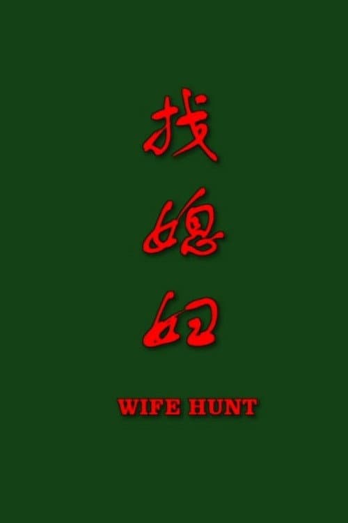 找媳妇 poster