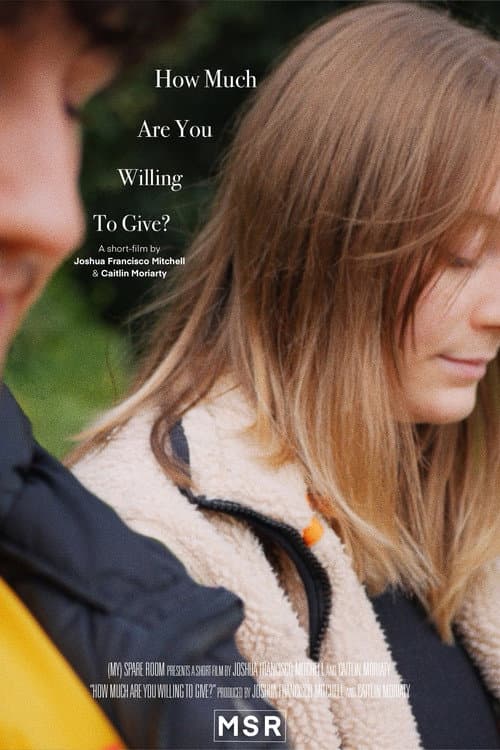 How Much Are You Willing To Give? poster