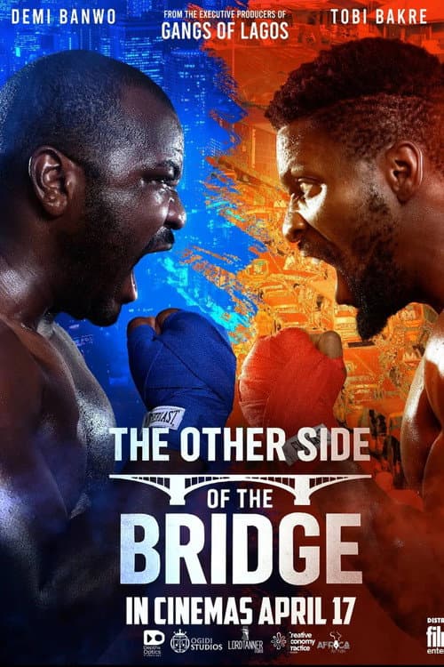 The Other Side of the Bridge poster