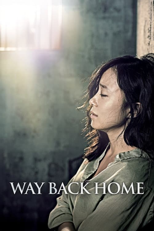 Way Back Home poster